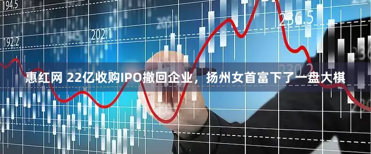 惠红网 22亿收购IPO撤回企业，扬州女首富下了一盘大棋