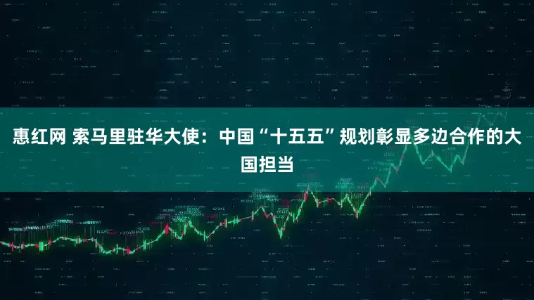 惠红网 索马里驻华大使：中国“十五五”规划彰显多边合作的大国担当