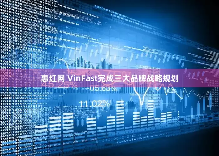惠红网 VinFast完成三大品牌战略规划