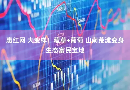 惠红网 大变样！藏草+葡萄 山南荒滩变身生态富民宝地